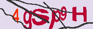 Code Captcha