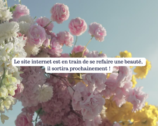 Votre texte de paragraphe (Montage photo) (1).png