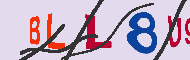 Code Captcha