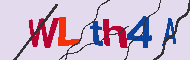 Code Captcha