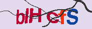 Code Captcha