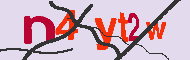 Code Captcha