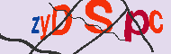 Code Captcha