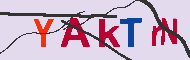 Code Captcha