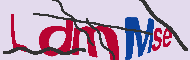 Code Captcha