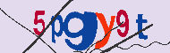 Code Captcha